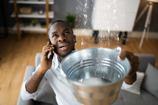 Best Water damage cleanup near me  in Perry, LA