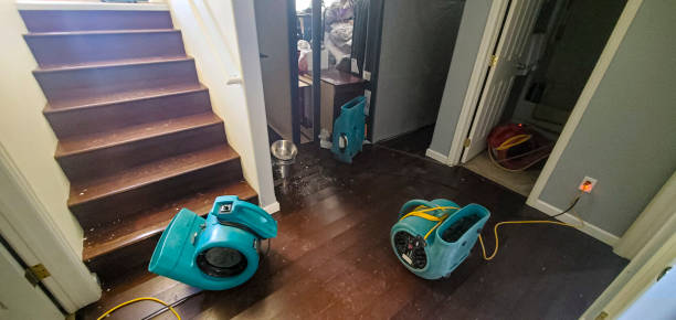 Best Flood damage cleanup  in Perry, LA