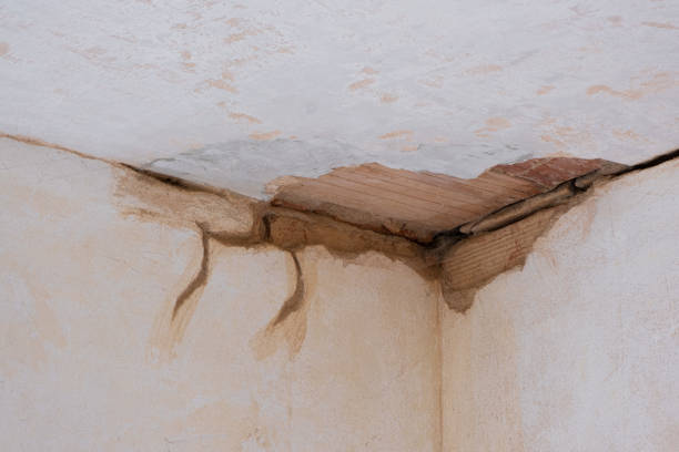 Best Residential water damage restoration  in Perry, LA