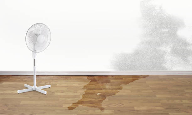 Best 24-hour water damage restoration  in Perry, LA