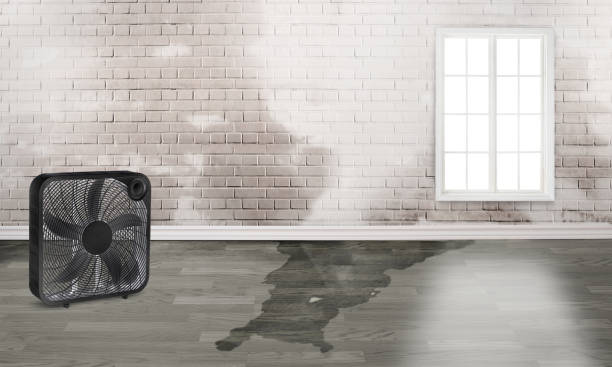 Reliable LA Water damage restoration Solutions