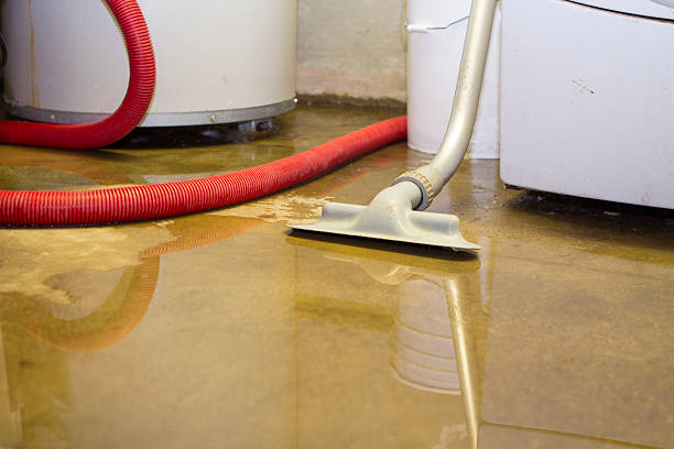 Best Water damage restoration cost  in Perry, LA