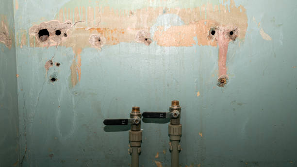 Best Local water damage restoration  in Perry, LA