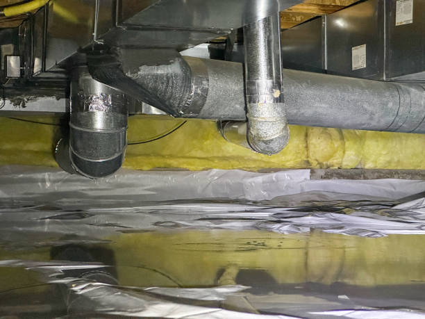 Best Carpet water damage restoration  in Perry, LA