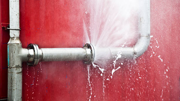 Best Ceiling water damage repair  in Perry, LA